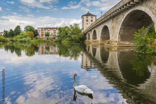 Swan at the old bridge over the river Lahn in Limburg, Germany