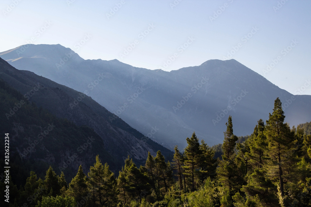 Beautiful mountain landscapes with sunny green forest, Albania       Albania