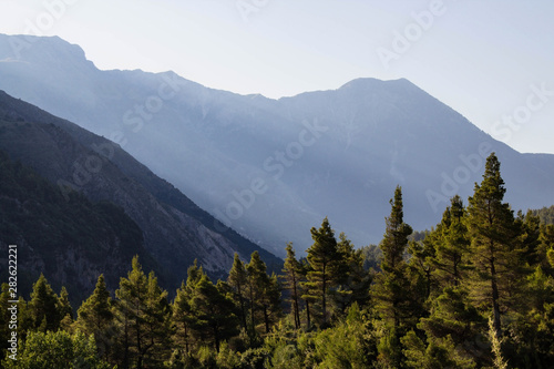 Beautiful mountain landscapes with sunny green forest, Albania Albania