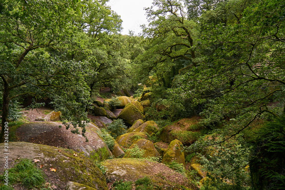 Grüne Wald Landschaft mit Felsen in Huelgoat Grüne Wald Landschaft mit Felsen in Huelgoat