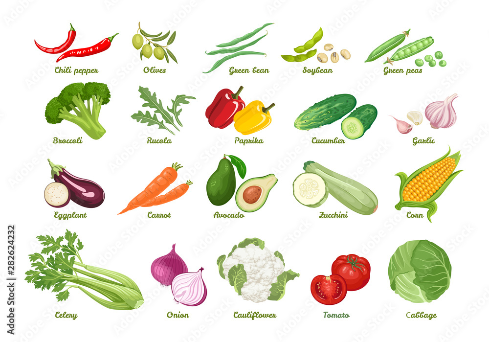 Set of vector icons vegetables. Chili, olive, bean, soybean, peas, broccoli, arugula, paprika, cucumber, garlic, eggplant, carrot, avocado, zucchini, corn, celery, onion, cauliflower, tomato, cabbage. Set of vector icons vegetables. Chili, olive, bean, soybean, peas, broccoli, arugula, paprika, cucumber, garlic, eggplant, carrot, avocado, zucchini, corn, celery, onion, cauliflower, tomato, cabbage.