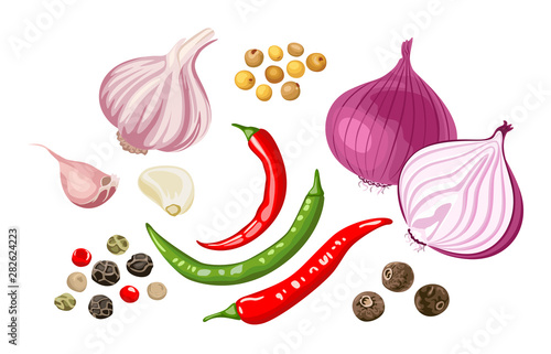 Set of spicy spices and vegetables. Garlic, red onion, chili, dried peppercorns, allspice, pimento, mustard grains isolated on white background. Vector illustration in flat style.