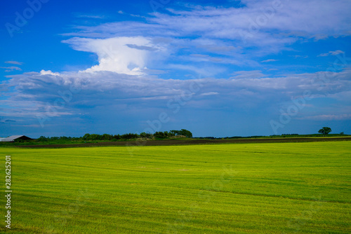 green field and blue sky © Hiromitsu Kato