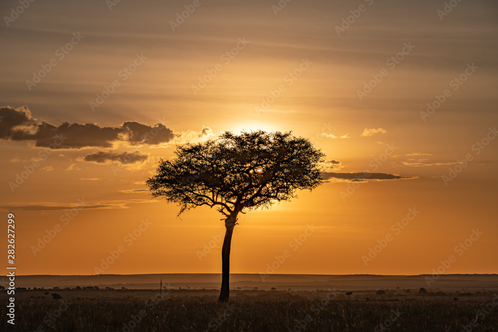 silhouette of tree in a Masai Mara sunset landscape 