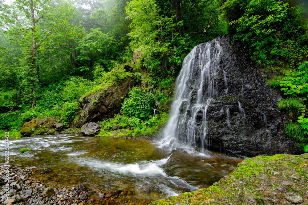 Naklejka premium waterfall in forest