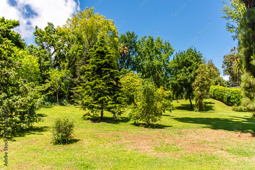 Italy, Naples, botanical garden, floral landscape with rare trees and plants. Italy, Naples, botanical garden, floral landscape with rare trees and plants.