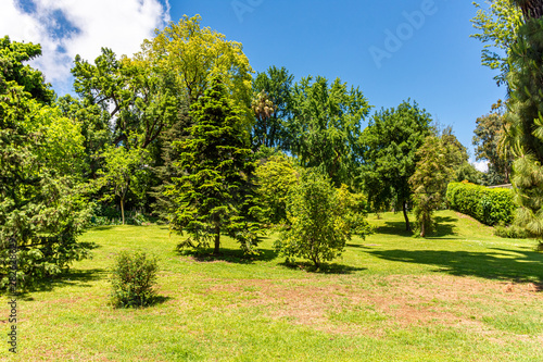 Italy, Naples, botanical garden, floral landscape with rare trees and plants.