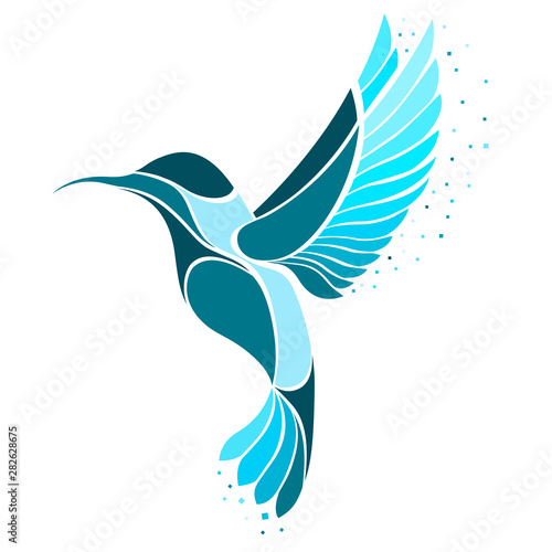 Colibri Bird logo. Vector illustration of exotic flying Hummingbird isolated on white background