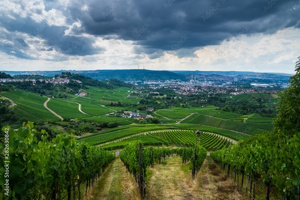 Germany, Green vineyards above stuttgart city in basin in summertime with dramatic sky of coming thundery front