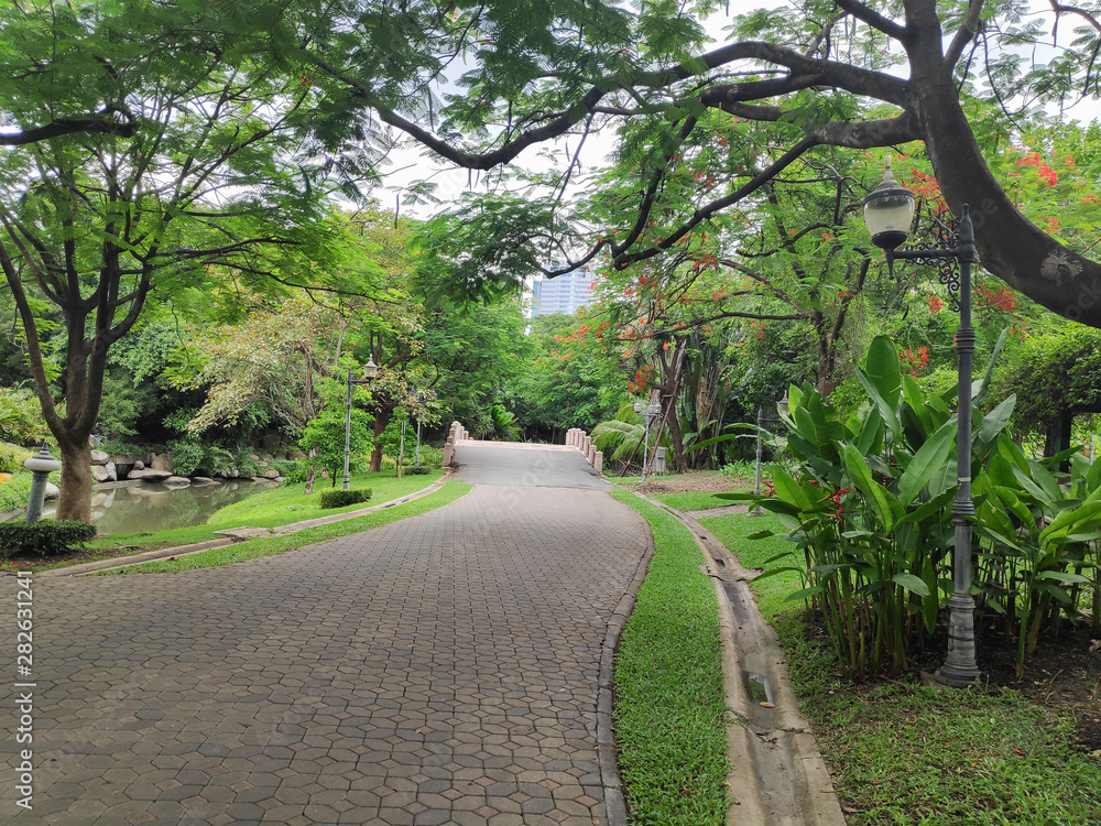 The path in the park, where to exercise or relax surrounded by nature