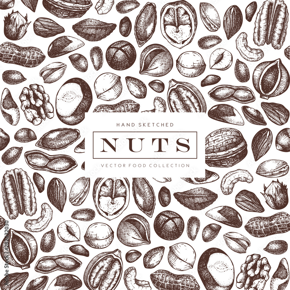 Vector nuts design. Hand drawn pecan, macadamia, pine nuts, walnut, almond, pistachio, chestnut, peanut, brazil nut, hazelnut, coconut and cashew. Healthy food background. Engraved style. Vector nuts design. Hand drawn pecan, macadamia, pine nuts, walnut, almond, pistachio, chestnut, peanut, brazil nut, hazelnut, coconut and cashew. Healthy food background. Engraved style.