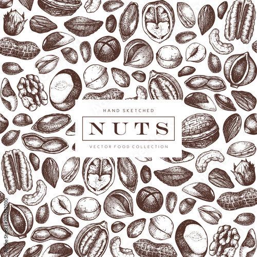 Vector nuts design. Hand drawn pecan, macadamia, pine nuts, walnut, almond, pistachio, chestnut, peanut, brazil nut, hazelnut, coconut and cashew. Healthy food background. Engraved style.