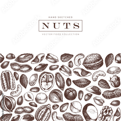 Vector nuts design. Hand drawn pecan, macadamia, pine nuts, walnut, almond, pistachio, chestnut, peanut, brazil nut, hazelnut, coconut and cashew. Healthy food background. Engraved style.
