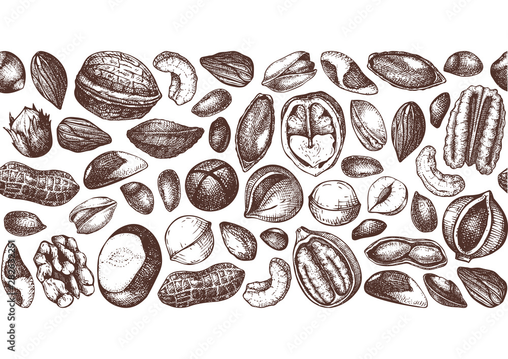 Vector nuts design. Hand drawn pecan, macadamia, pine nuts, walnut, almond, pistachio, chestnut, peanut, brazil nut, hazelnut, coconut and cashew. Healthy food background. seamless pattern Vector nuts design. Hand drawn pecan, macadamia, pine nuts, walnut, almond, pistachio, chestnut, peanut, brazil nut, hazelnut, coconut and cashew. Healthy food background. seamless pattern