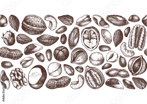 Vector nuts design. Hand drawn pecan, macadamia, pine nuts, walnut, almond, pistachio, chestnut, peanut, brazil nut, hazelnut, coconut and cashew. Healthy food background. seamless pattern