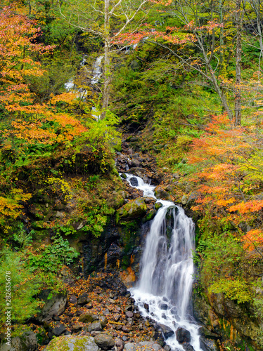 Beautiful Fall in Japan