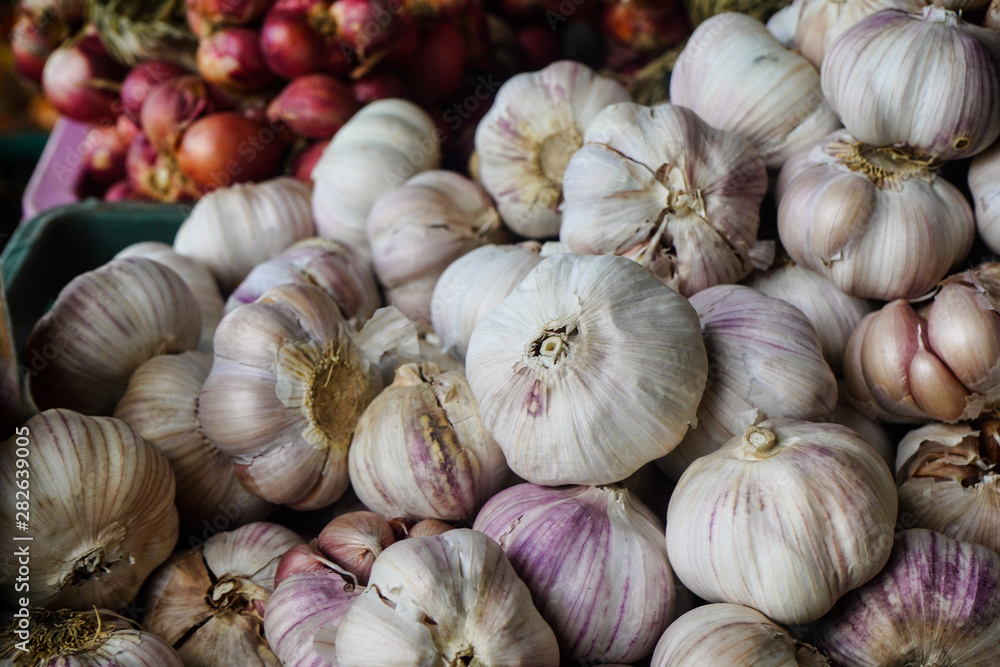 White garlic pile texture. Fresh garlic on market table closeup photo. Vitamin healthy food spice image. Spicy cooking ingredient picture. Pile of white garlic heads. White garlic head heap top view White garlic pile texture. Fresh garlic on market table closeup photo. Vitamin healthy food spice image. Spicy cooking ingredient picture. Pile of white garlic heads. White garlic head heap top view