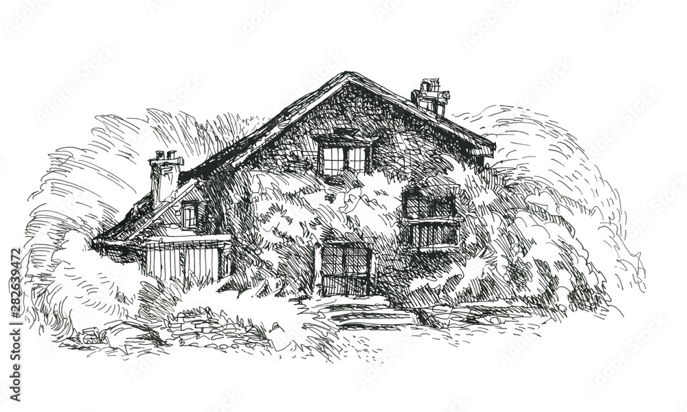 Old country house. Ink drawing.