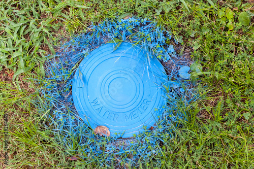 Tableau sur toile City water meter cap spray painted blue embedded in grass.