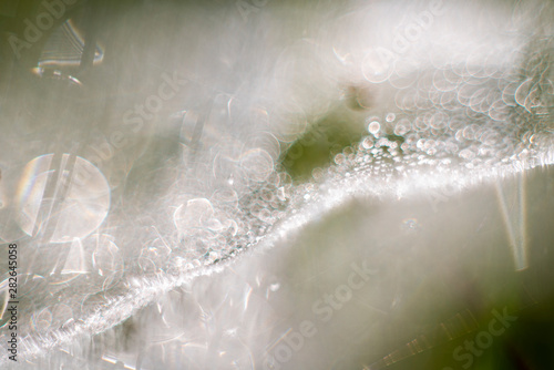 Abstract cobwebs in backlight, photographed with a vintage lens