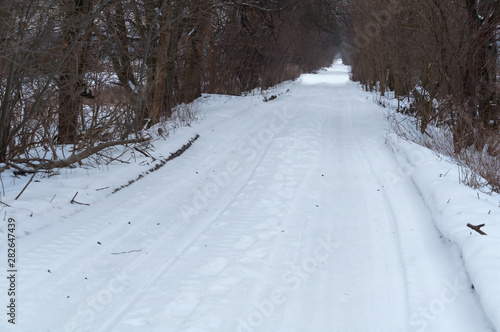 Forest road in winter. Snow-covered road in the forest.