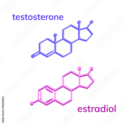 Testosterone and estradiol chemical formulas