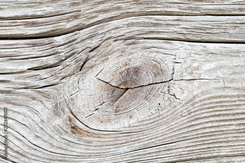 Texture image of an old wooden log