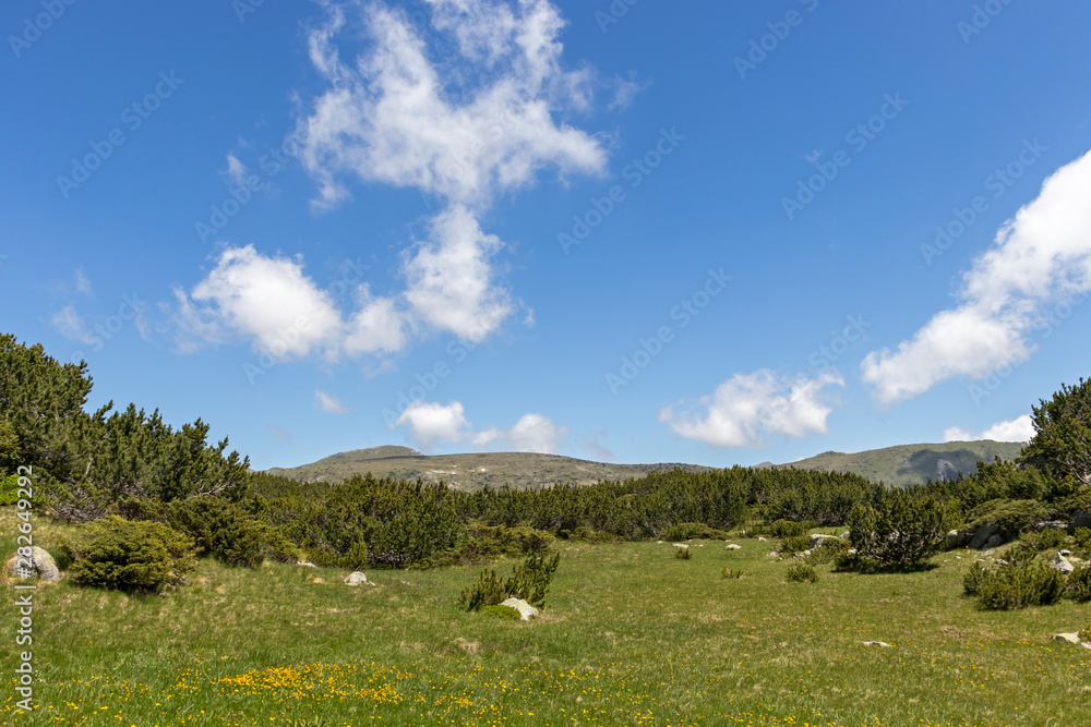 Fototapeta premium Landscape near The Fish Lakes, Rila mountain, Bulgaria