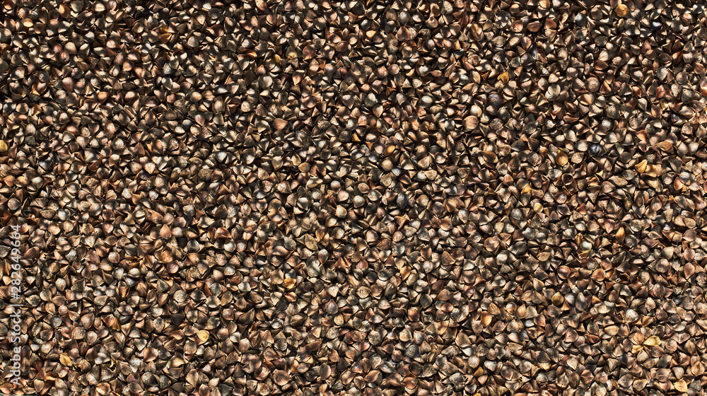 Rough unshelled buckwheat groats textured background pattern for your design, flat lay, from above overhead top view, closeup, macro
