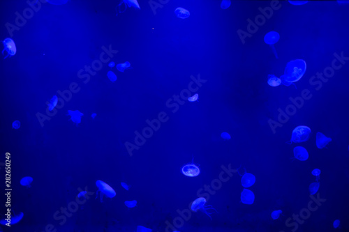 abstract background with particles
