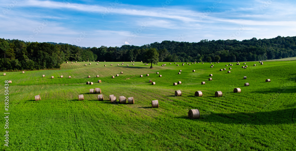 Bales of hay on a vast green field with a tree in the center on the bottom there is a wood the sky is blue with clouds