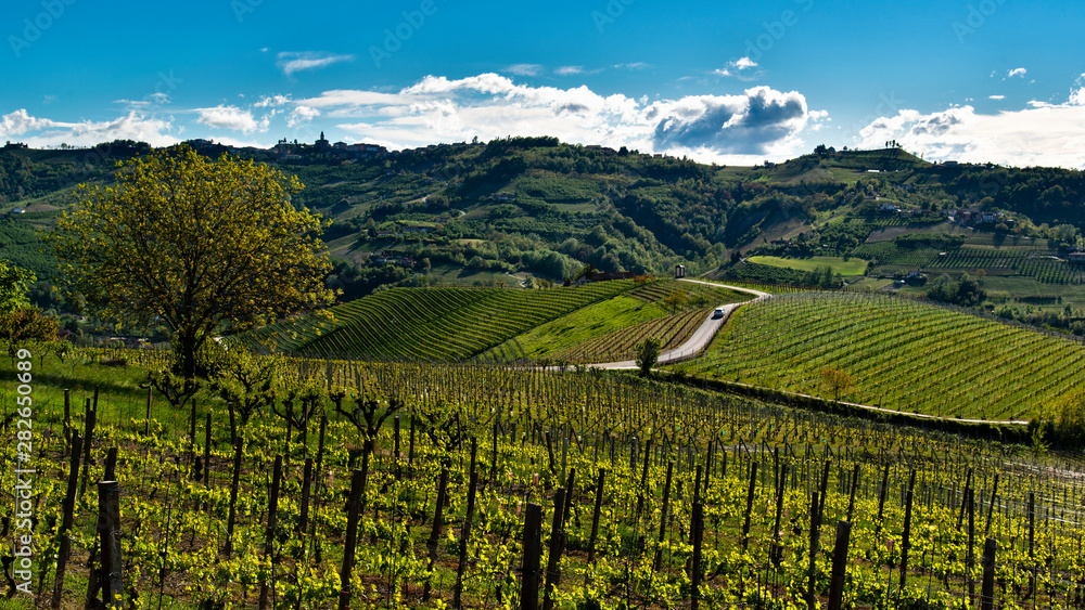 View of the hills and vineyards of the Langhe in the middle of a asphalted road crossed by a car