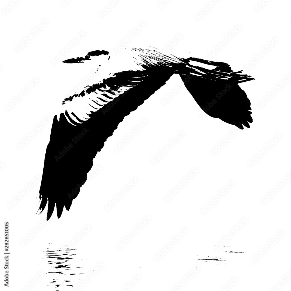 Obraz Szara czapla latająca nad rzeką Berg