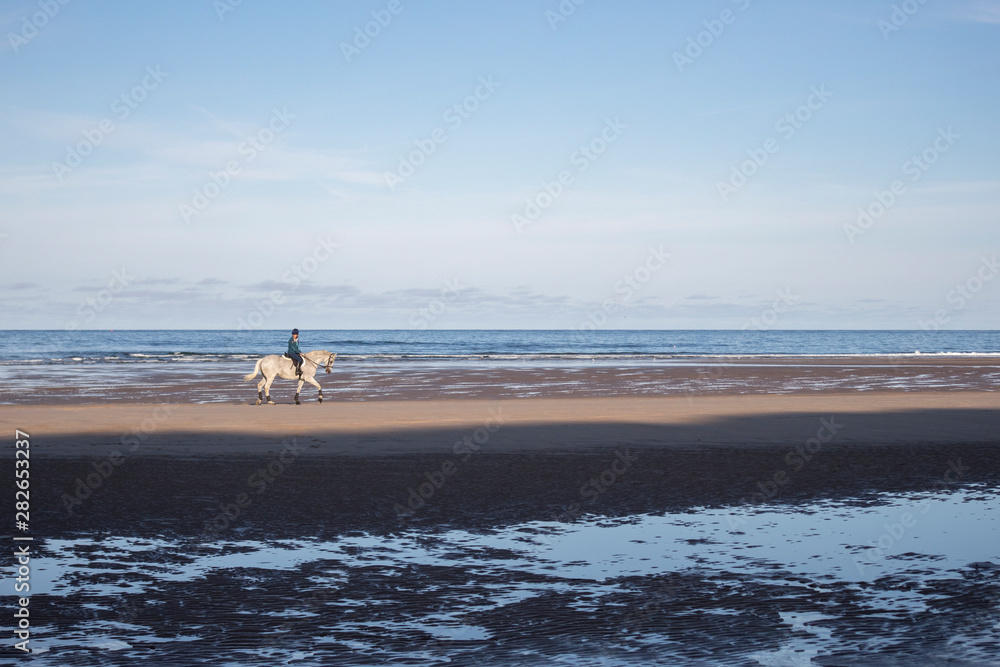 Horse riding at the beach