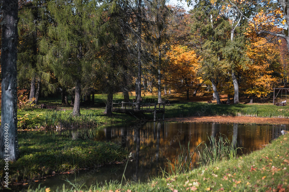 Fototapeta premium Autumn Nature