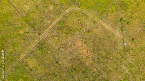 Aerial top down view from drone of meadow surface at summer day in the countryside. Natural foliage background.