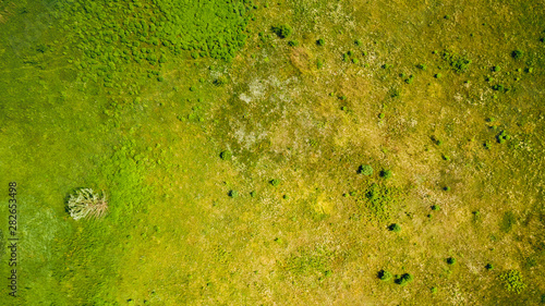 Aerial top down view from drone of field surface at summer day in the countryside. Natural foliage background.