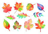 Set of watercolor colorful autumn leaves. Hand drawn illustration. Cards, fabric and paper design
