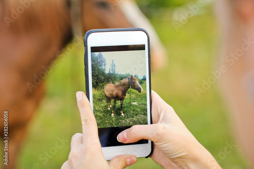 A girl takes pictures on the phone. Beautiful horse in the garden.