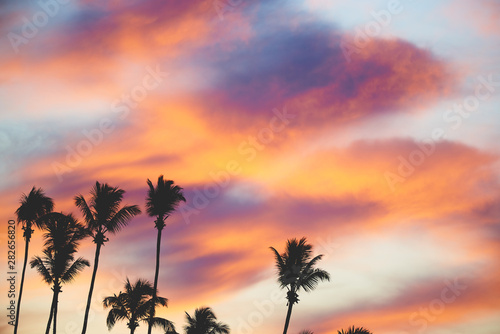 Sunset with palms 2