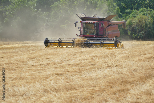 Combine hay harvester during harvesting work on field