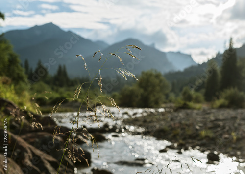 Berglandschaft mit Wildfluß