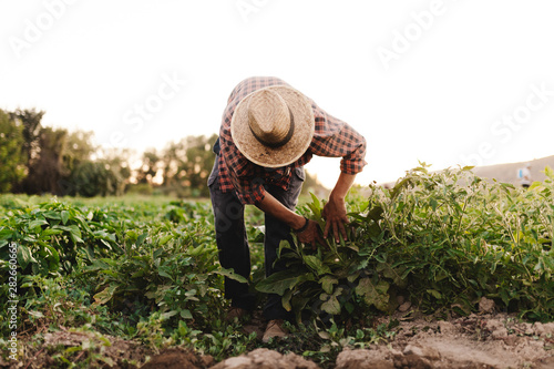 Young farmer man with hat working in his field