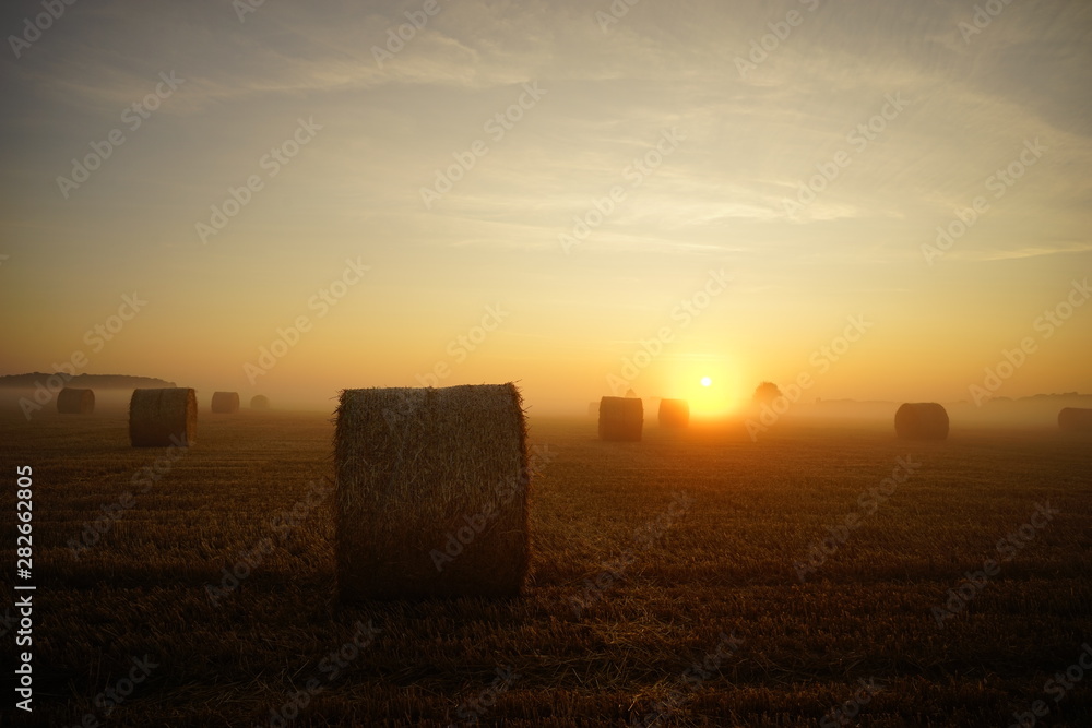 Fototapeta premium Paysage Campagne 563