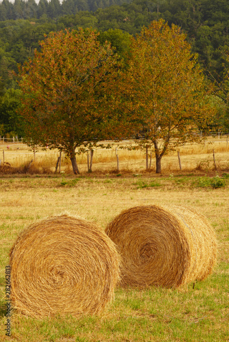 Paysage Campagne 562 photo