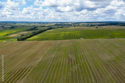 farm field, view from above © vadim_fl