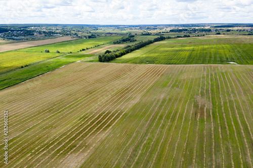 farm field, view from above