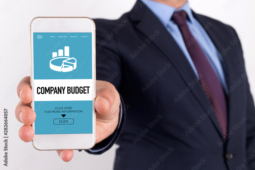 COMPANY BUDGET CONCEPT COMPANY BUDGET CONCEPT