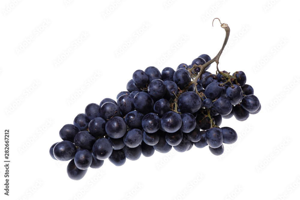 Fresh blue grapes on white background isolated. Red wine grapes. Fresh blue grapes on white background isolated. Red wine grapes.