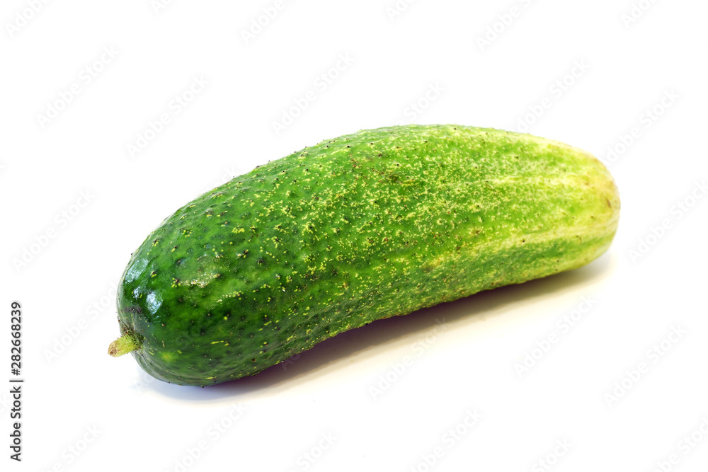 Fresh organic cucumber on white background isolated close up Fresh organic cucumber on white background isolated close up